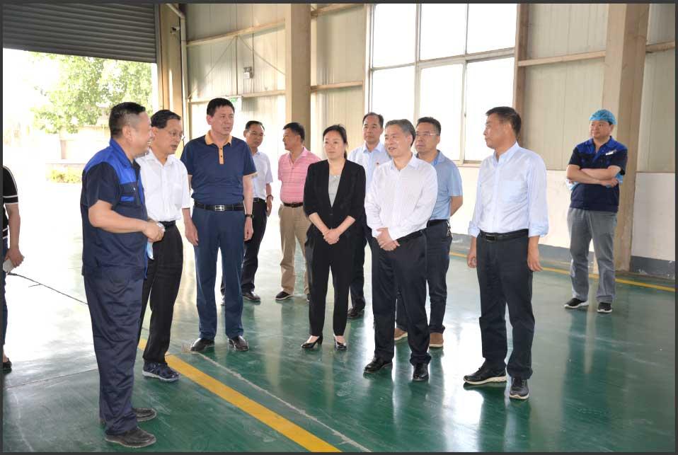 新乡市副市长王占波同志到物理所有限公司新乡分公司调研