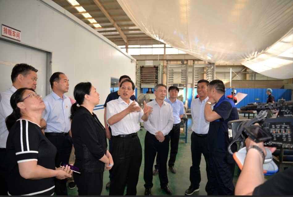 新乡市副市长王占波同志到物理所有限公司新乡分公司调研